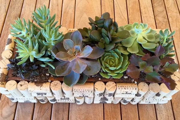 Wine Cork Planter Box